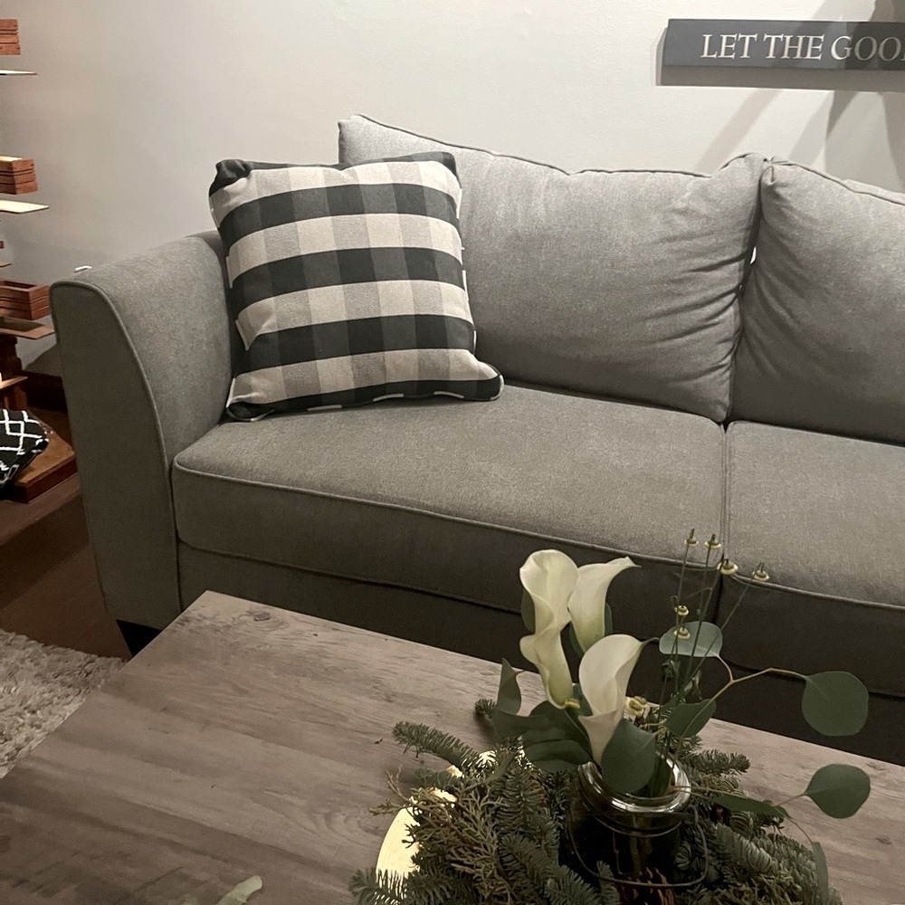 Pillow NWOT 2 pillows for 18$